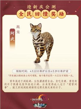天龙八部私服制作外网
